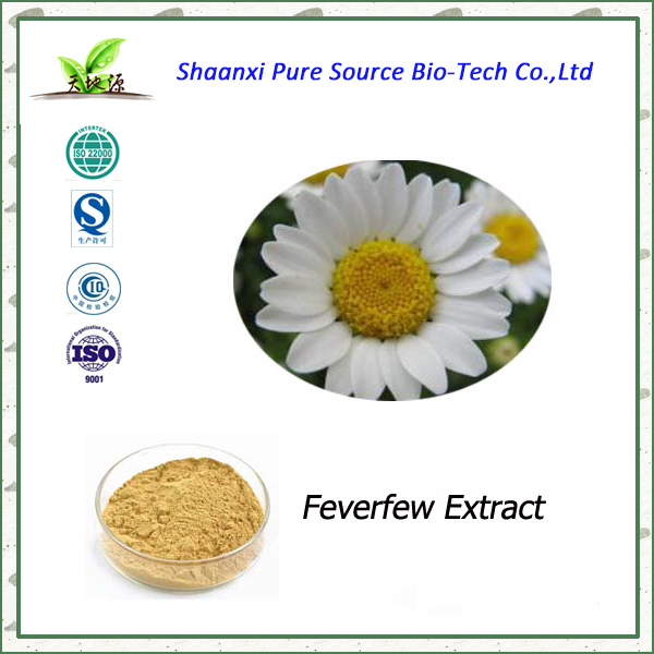 Feverfew Extract 0.3%-2.0% Parthenolide
