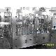Beer Filling Line