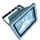 Led Floodlight, TBC120-F005