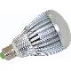 Led Bulb Light