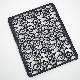 ipad plastic back cover