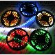 Single Chip (smd3528) Flexible Led Strips (300 Leds Per 5 Meters), HK-F3528X30-X-12