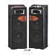 Professional Active Speakers Ls-378