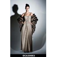 Evening Dress
