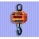 Electronic Crane Weighing Scale