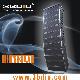 Sell line array speaker 12LAT