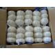 Fresh Garlic/pure White Garlic, 0703209000