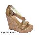 Ladies Shoes, 53521