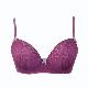 Petunia Bra, G114BA