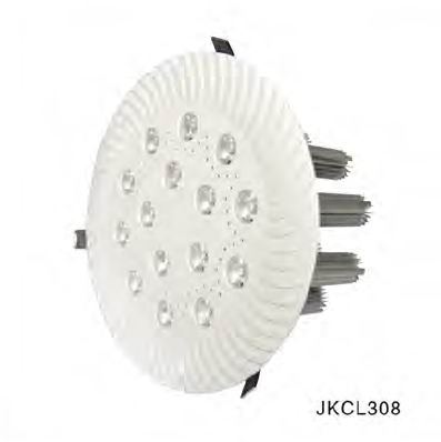 LED Ceiling Light