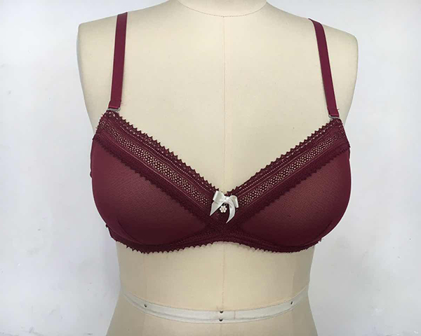 Bra