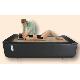 Hydro-jet Massage Bed, MS-02