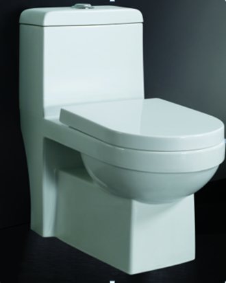 Sanitary Ware -- Toilet Bowl