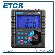 Digital Earth Resistance Tester (etcr3000) Clamp Meter, ETCR3000