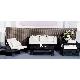 2011 New Style Rattan Sofa Set Outdoor Furniture, CH-W058
