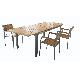 outdoor stainless steel with solid wood top table