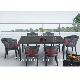 Rattan Furniture: Dining Set, LS-1008C , LS-1008T