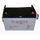 Solar /wind Power Storage Battery -12v100ah-nps100-12, NPS100-12