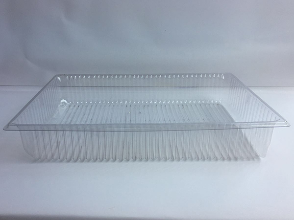 Blister Tray 1