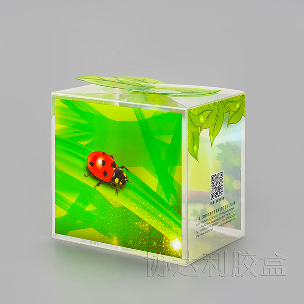 Clear Gift Box