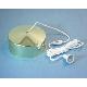 Ceiling Switch, 3864VB