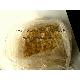C5 Petroleum Resin