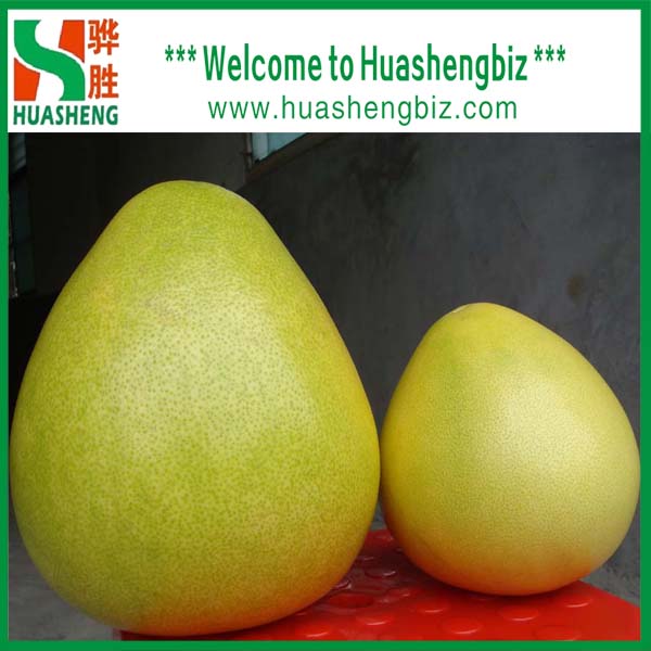 Chinese Pomelo