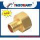 Brass Fittings