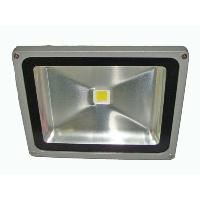30W LED Outdoor Spotlight