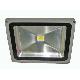 30W LED Outdoor Spotlight, SL-30-S