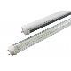 T10 LED tube, WF0300T-18A