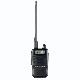 Walkie Talkie, FM-2802