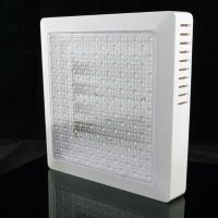 SURFACE 8W CEILING LIGHT