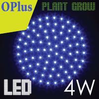 Blue Hydroponics Light