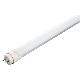 LED LIGHT TUBE 1200cm, OP-3014T8-1200