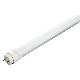 LED LIGHT TUBE 600cm, OP-3014T8-600