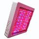 Red/Blue Hydroponics Light