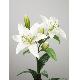Artificial Flower