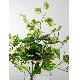 Artificial Plant, 224-1153B9M