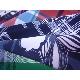 Boardshot Printing Fabric, P1070143