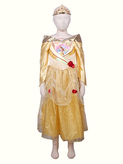Elegant Girls Long sleeve Off Shoulder Tulle Princess Dress Cosplay Costumes