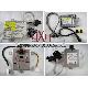Hot Selling Hid Xenon Ballast, XGY007