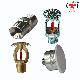 Brass Fire Sprinkler
