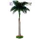 Artificial Palm Tree, FZDWY-05 