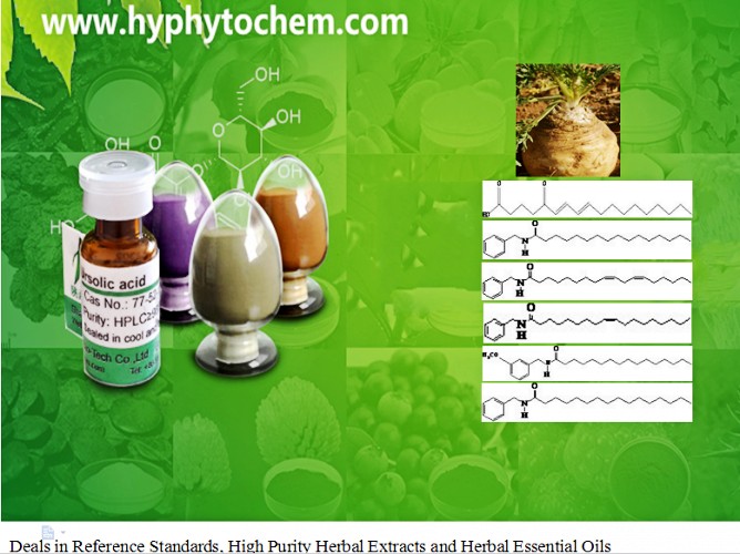 Maca Extract