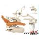 Dental Suppliers China Dental Unit Md101