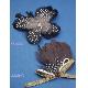 Feather Brooch, 338938