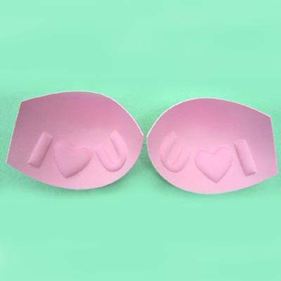 Lingerie Bra Cup