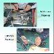 Repair Cv-260 System Of Endoscope