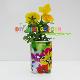 Novelty Diy Can Plants Indoor Plants Gardening Mini Garden, 1 can plants
